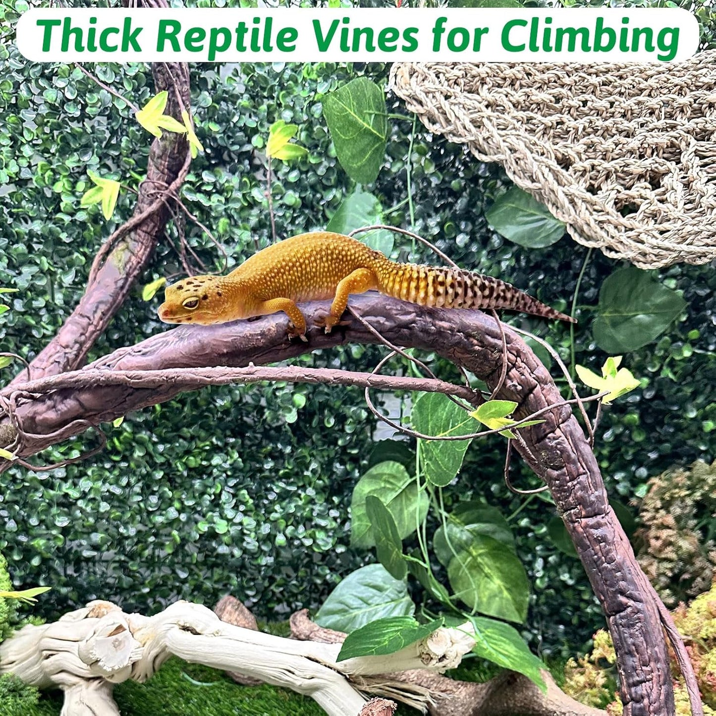 VCEPJH Reptile Bark Bedding,1 LB Natural Cork Bark for Geckos and Large Reptile Vines Thick Terrarium Plants 118 Inches Long Flexible Climbing Branch Bearded Dragon Chameleon Gecko Frog Lizard