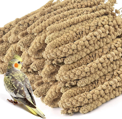 ERKOON 5LB Spray Millet Treat, All Natural Sun-Dried Healthy Treat Parrot Food Bird Snack for Parakeets, Lovebirds, Cockatiels, Finches, Budgies, Canaries Hamster, Bird Food Bulk