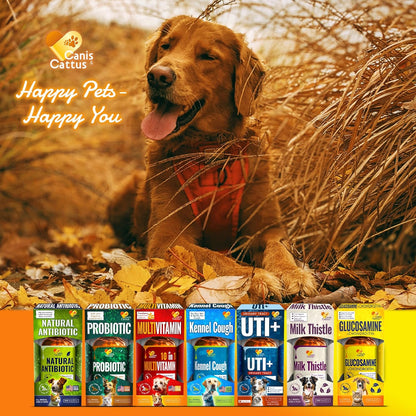 Canis&Cattus Liquid Glucosamine Dogs and Cats – Joint Supplement with MSM & Chondroitin – Mobility & Hip Support for Pets – Beef Flavor – 2oz