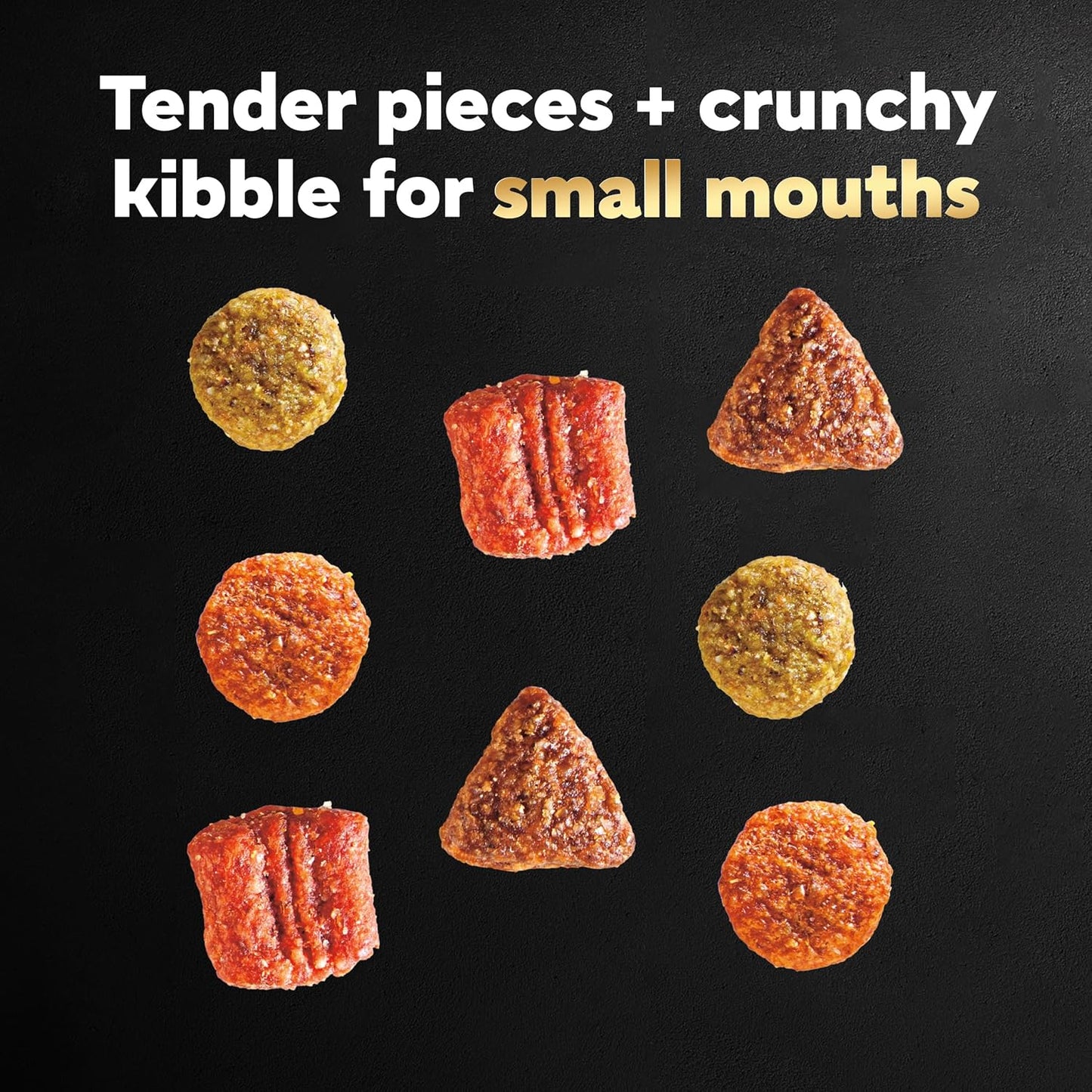 Cesar Small Breed Dry Dog Food Rotisserie Chicken Flavor and Spring Vegetables Garnish, 12 lb. Bag