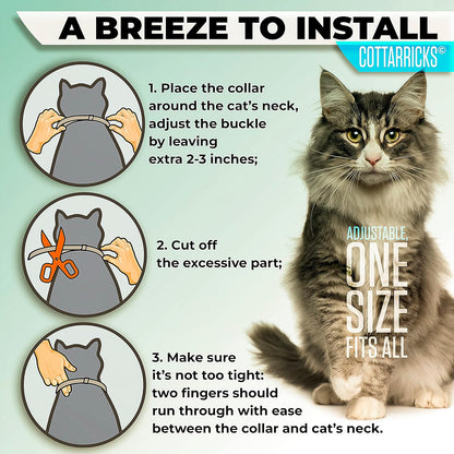 Flea and Tick Prevention for Cats - Collar - 2 Count - Adjustable