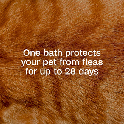 ADAMS Plus Flea & Tick Foaming Shampoo & Wash for Cats & Kittens Over 12 Weeks, Sensitive Skin Flea Treatment for Cats & Kittens, Kills Adult Fleas, Ticks and Lice On Contact, 10 Ounces