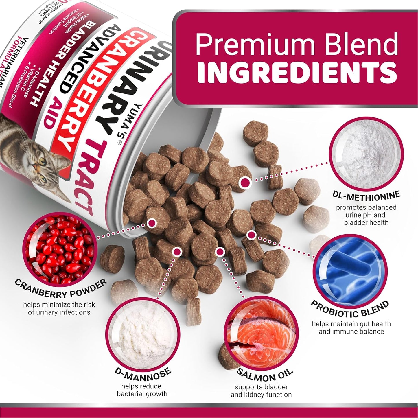 Cat UTI Treatment - Cranberry Supplement for Cats - Bladder Control - Urinary Tract Health Infection Treatment - UTI Medicine - Vitamins and Food Supplements - Immune & Multivitamin Support Chews