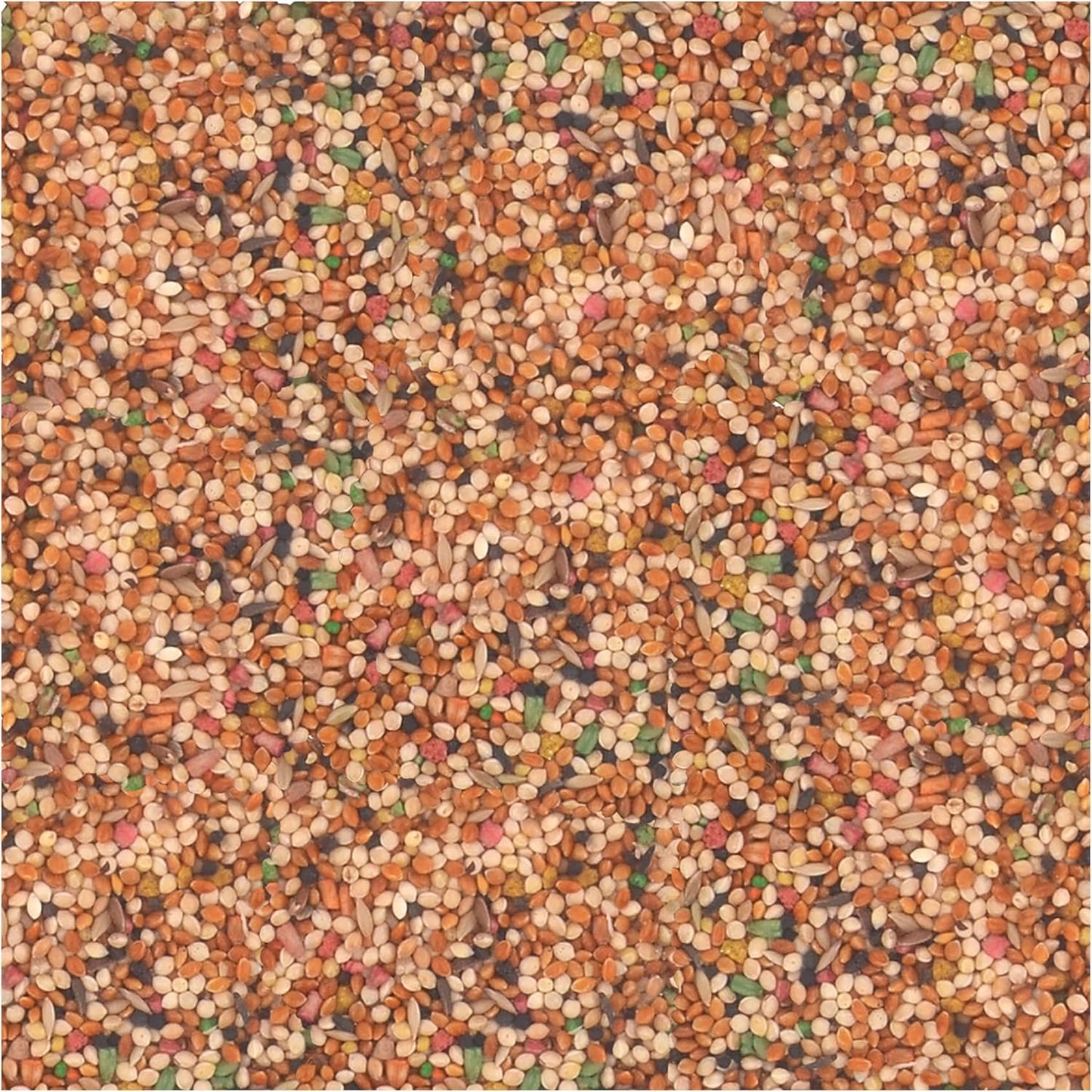 Wild Harvest Universal Blend For Small Birds 3 Pounds, Foritified Nutrition