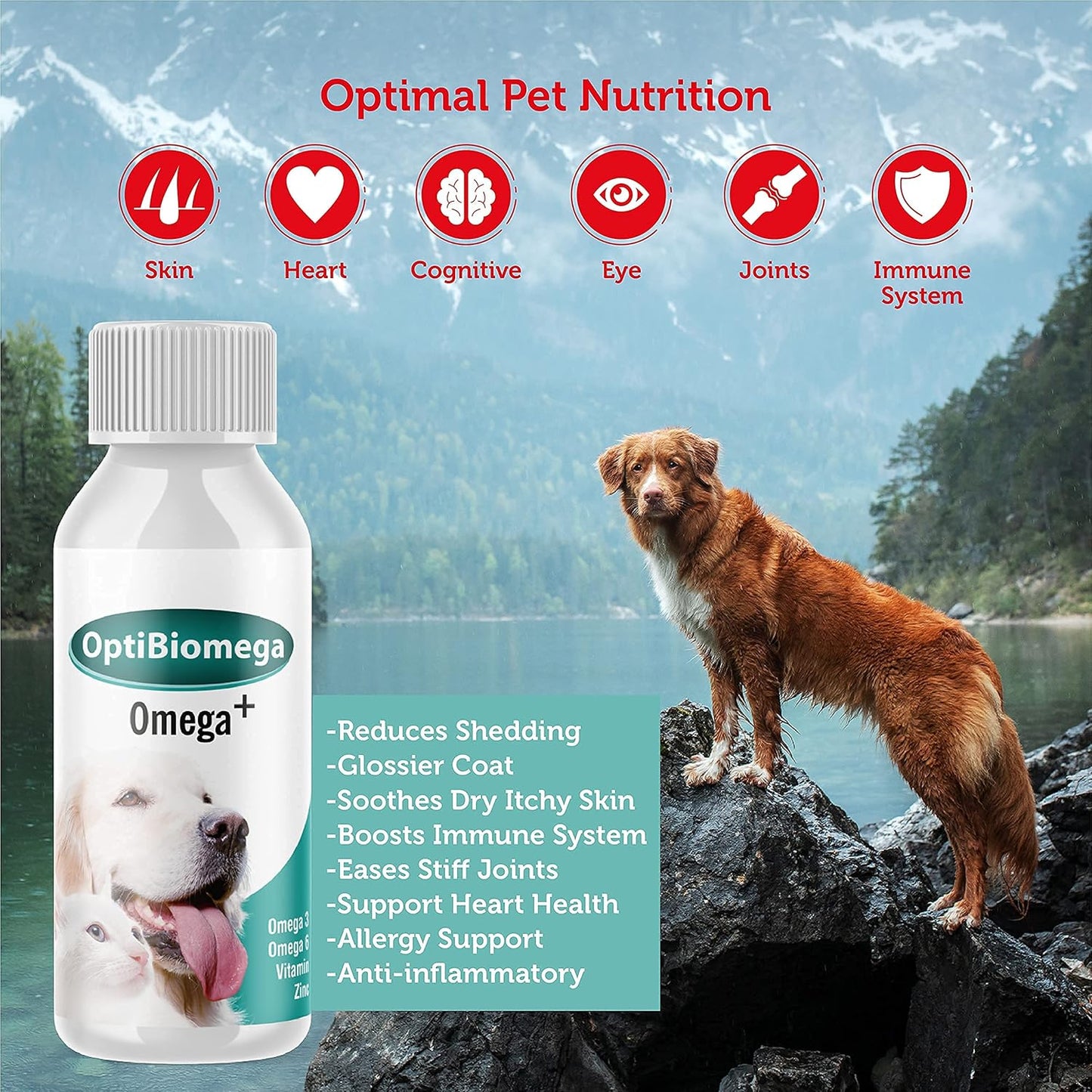 OptiBiomega Fish Oil for Dogs & Cats, Vitamins & Supplements Skin and Coat, Zinc, Omega 3 & Omega 6 Fatty Acids Support Immune Supplement, 3.38 fl oz