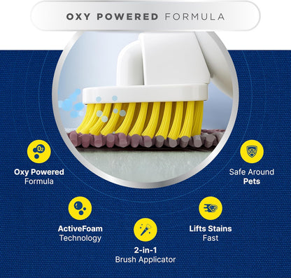 Carbona Oxy-Powered Pet Stain & Odor Remover | Carpet Cleaner for Pets | 13.5oz