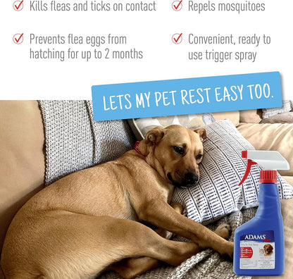 Adams Pet Spray + Shampoo Bundle