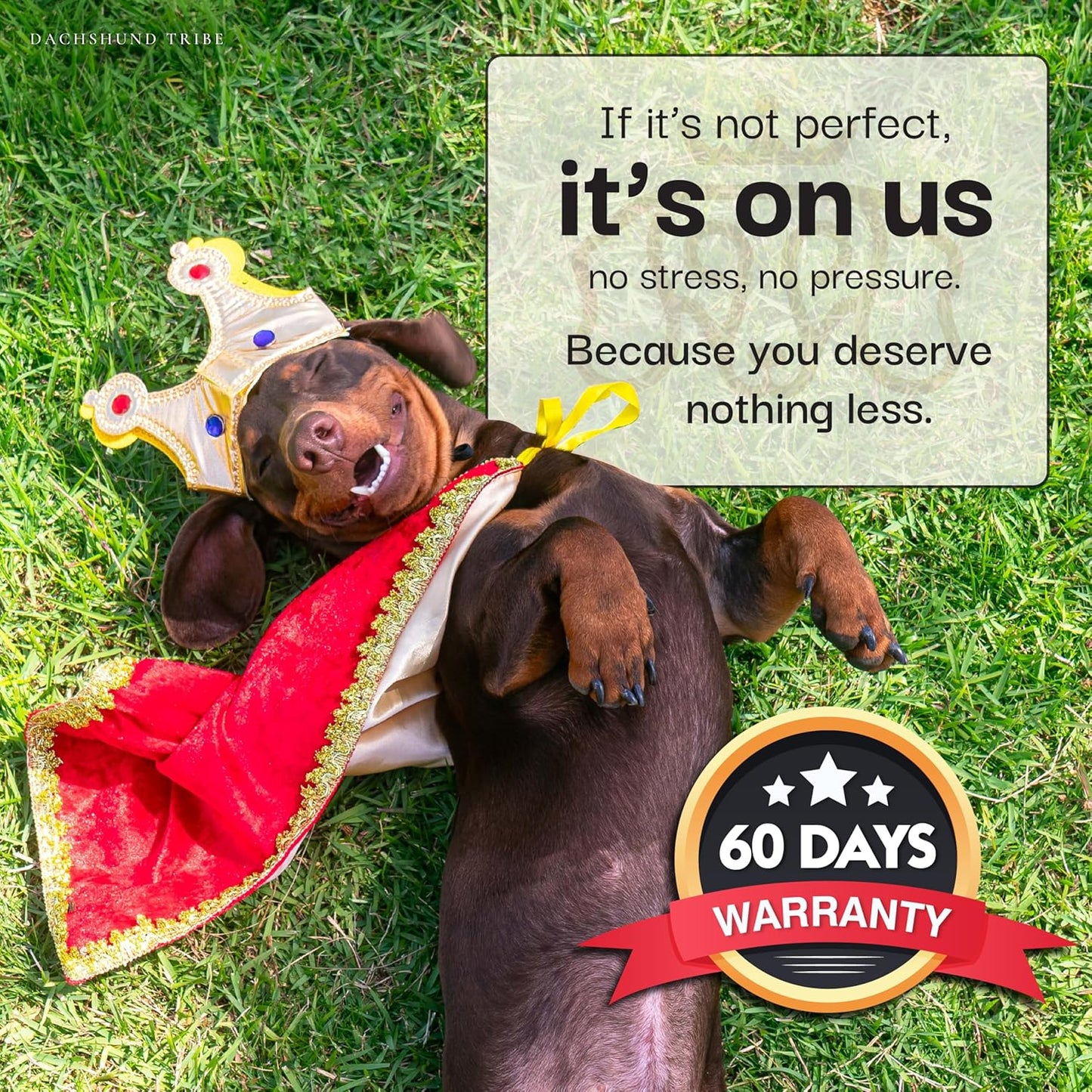 Dog Car Seat for Small Dogs - Safety Booster Bed for Car Travel, Machine Washable Cover, Scratch & Water Resistant, Adjustable, Non-Slip Base (Royal Brown, Small/Medium)