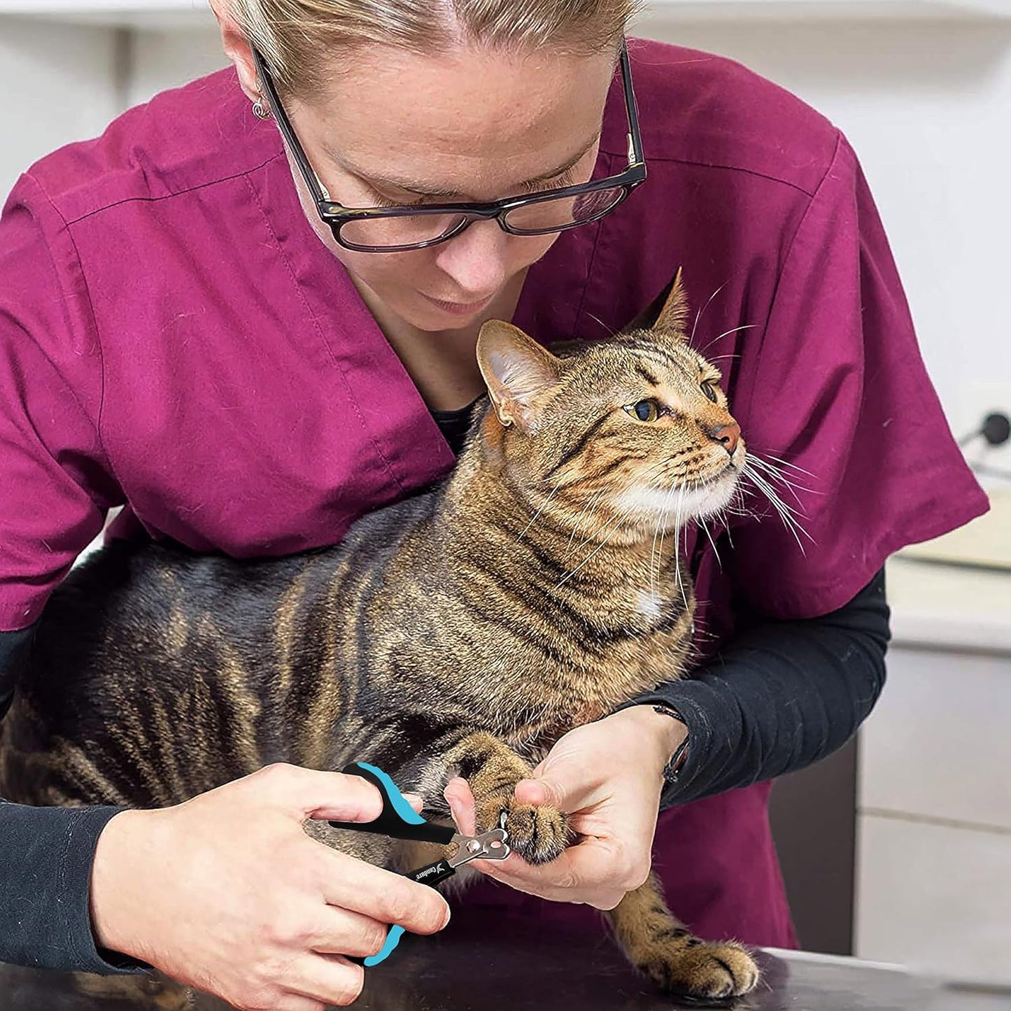 Candure Cat Nail Clipper Stainless Steel Cat Claw Trimmers for Rabbits, Guinea Pigs, Birds, Puppies, Kittens and Small Animals Pet Nail Clipper for Professional and Home Use (Blue)