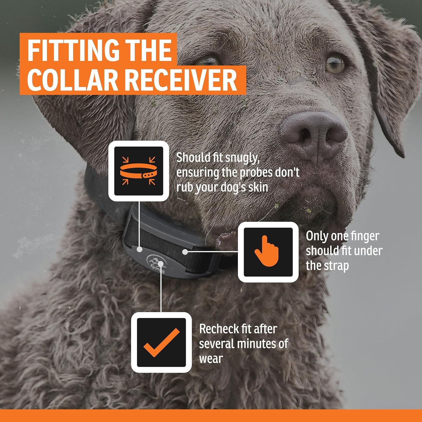 SportDOG Brand NoBark 10 Collar, Dog Bark Collars, Rechargeable, Programmable Bark Collar, Silent Partner Technology, Two Modes of Operation, Waterproof Collar (Black)