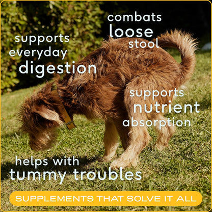 Native Pet Pumpkin for Dogs (120 Scoops) and The Daily Dog Supplement (120 Scoops) - All-Natural, Organic Pumpkin Fiber and 11-in-1 Dog Multivitamin