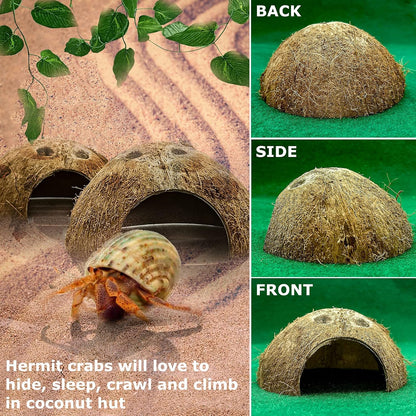 Hamiledyi Reptile Hide Box Gecko Hideout Cave with Sink Humidifier and 4 Pcs Reptile Hideouts Natural Coconut Shells Hut Hermit Crab Climbing Toys for Spider Snake Chameleon