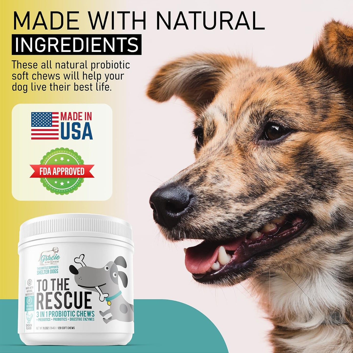 Probiotic Chews for Dogs, Support Digestive Health, Dog Probiotics and Digestive Enzymes, Dog Probiotic Chews, Probiotic Dogs, Puppy Probiotic, Pet Probiotics for Dogs - 120 Soft Chews