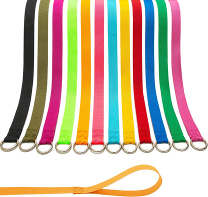 Slip Lead Dog Leash, 12 Pack 6 FT Short Leash with O-Ring for Small, Medium & Large Dogs, Pet Leads Leashes Bulk for Walking, Training, Rescues, Grooming, Shelter, Running Outdoor