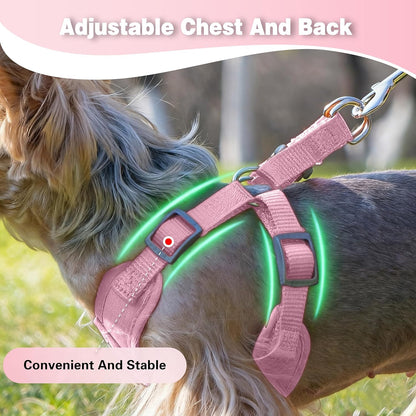 Dog Harness with Leash Set, Puppy Soft Vest No Choke No Pull, Adjustable Neck and Chest, Lightweight Harness and Anti-Twist Pet Leash Combo for Small to Medium Dogs (Pink, M-Medium)