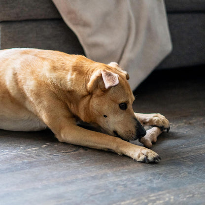 Outward Hound Dogwood Wood Durable Dog Chew Toys, Real Wood & Calming Hemp, 2-Pack, Medium