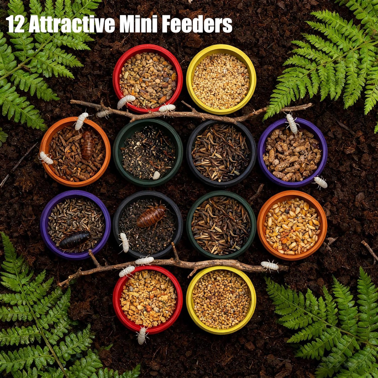 12-Pack Small Feeding Dish for Reptiles, Colorful Feeder Bowls for Isopods, Springtails, Dubia Roaches & Dwarf Invertebrates, Mini Food Bowls for Terrarium & Enclosure