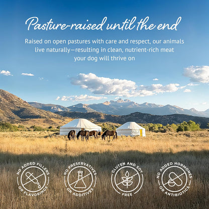 Freeze Dried Raw Dog Food, 100% Horse Meat, Allergy Relief, Monoprotein, Training Treats or Toppings, Single Ingredient, All Natural, for Puppies, Adults and Seniors, 3.17 oz Bag