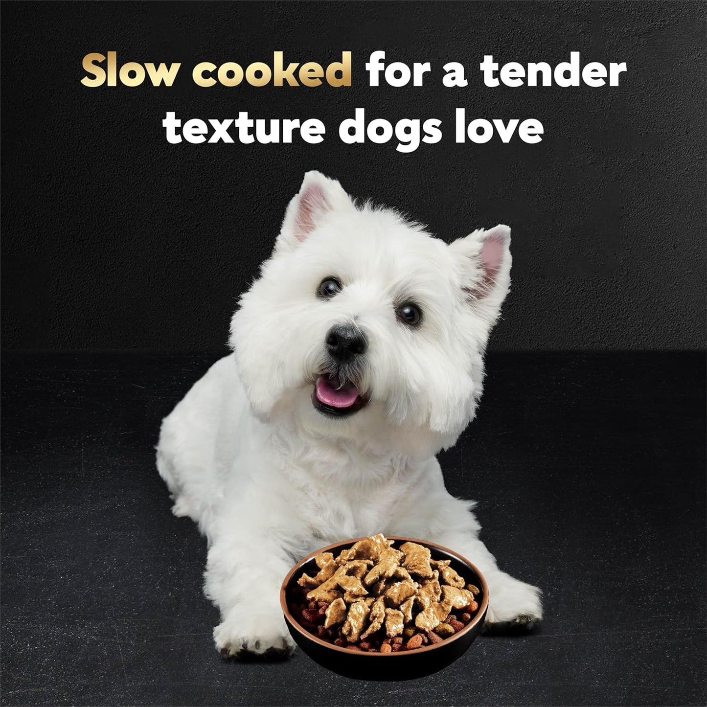 Cesar Filets in Gravy Wet Dog Food Rotisserie Chicken Flavor, Filet Mignon Flavor, and Wood-Grilled Chicken Flavor Variety Pack, 1.76 oz. Mini-Pouches, 40 Pack