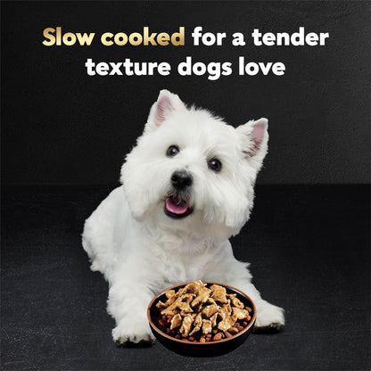 Cesar Filets in Gravy Wet Dog Food Rotisserie Chicken Flavor, Filet Mignon Flavor, and Wood-Grilled Chicken Flavor Variety Pack, 1.76 oz. Mini-Pouches, 40 Pack