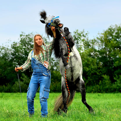 Himalayan Nature Horse Licking Salt, Animal Licking Mineral Salt Brick - 5 Lbs