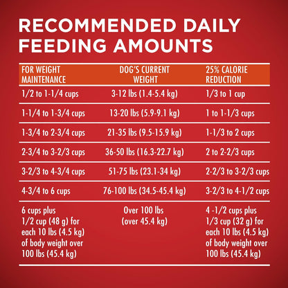 Purina ONE Plus Healthy Weight High-Protein Dog Food Dry Formula - 16.5 lb. Bag