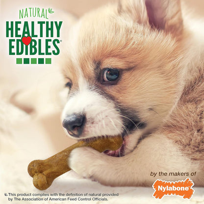 Nylabone Healthy Edibles Natural Puppy Chews Long Lasting Treats for Puppies, Roast Beef, Apple & Bacon Flavor, X-Small/Petite (3 Count)
