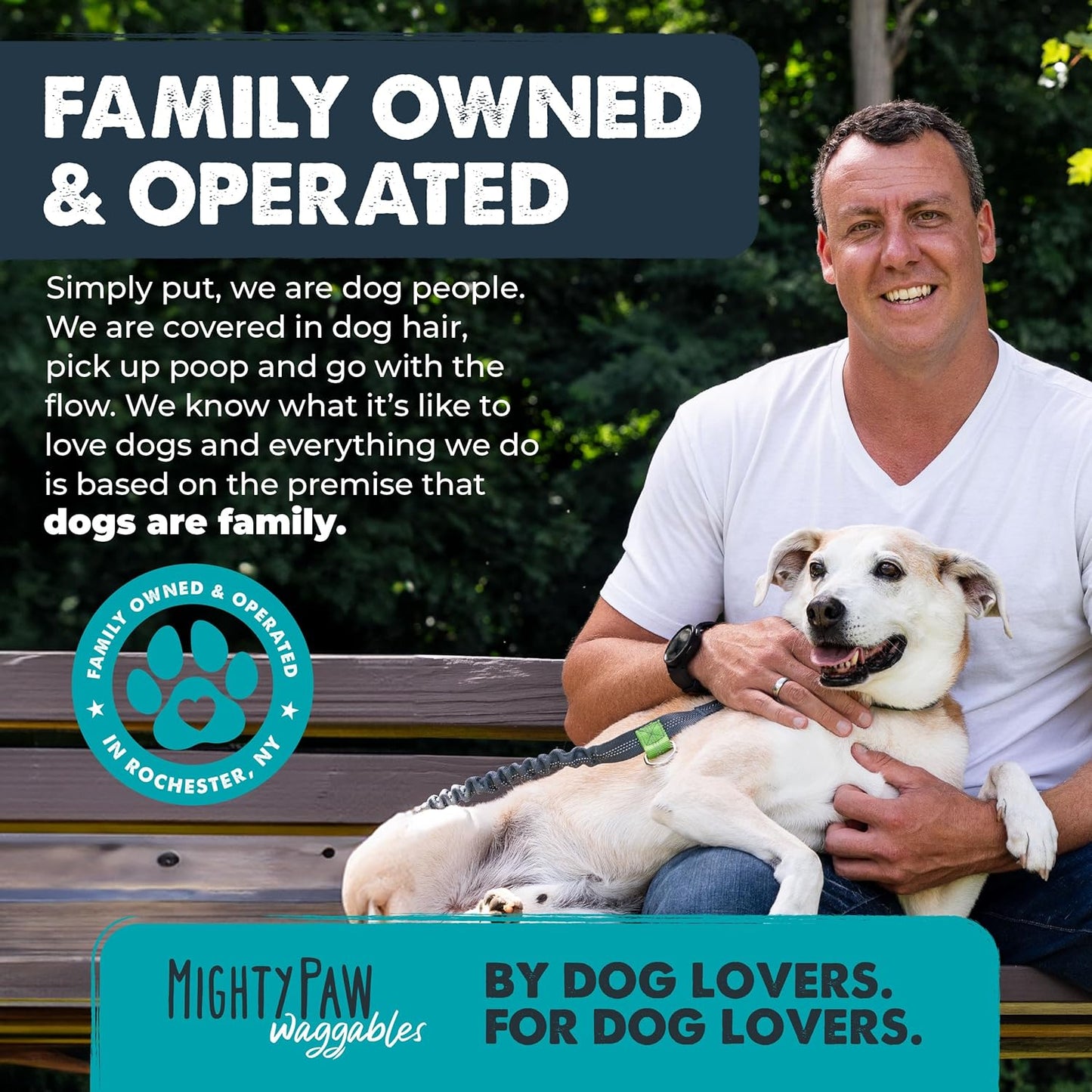 Mighty Paw Waggables Allergy Immune + Itch (Made in The USA) -Dog Chews Anti-Itch for Dogs. Allergy Support Vitamins for Skin and Coat Allergies. Omega 3 & Quercetin for Pets 120 Ct