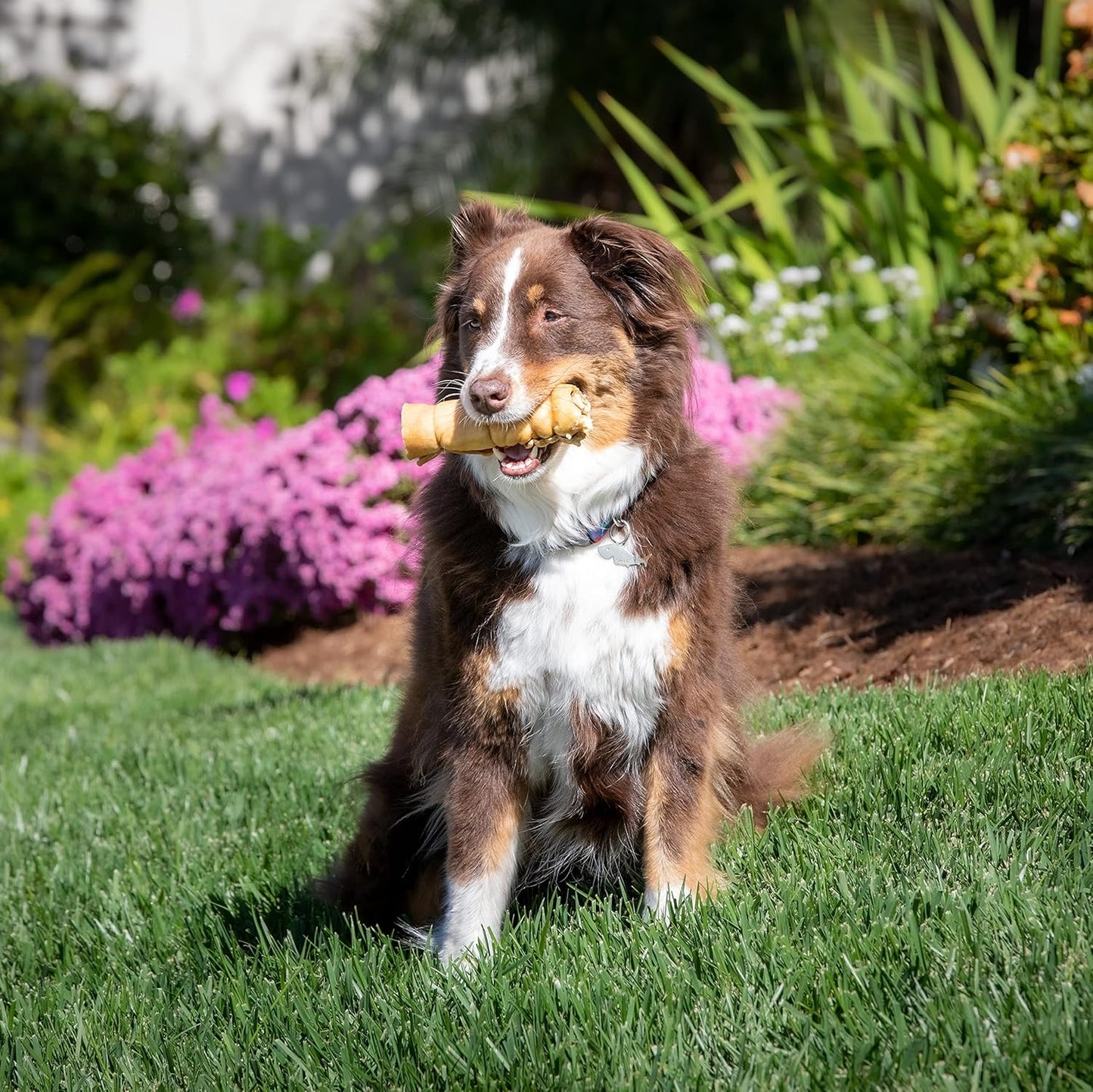 Wild Eats Water Buffalo Retriever Style Cheek Roll Dog Chews-5 Pack (Long Lasting Chews, Treats, Bones for Aggressive Chewers & Large Dogs) Great Substitute Pig Ears Dogs