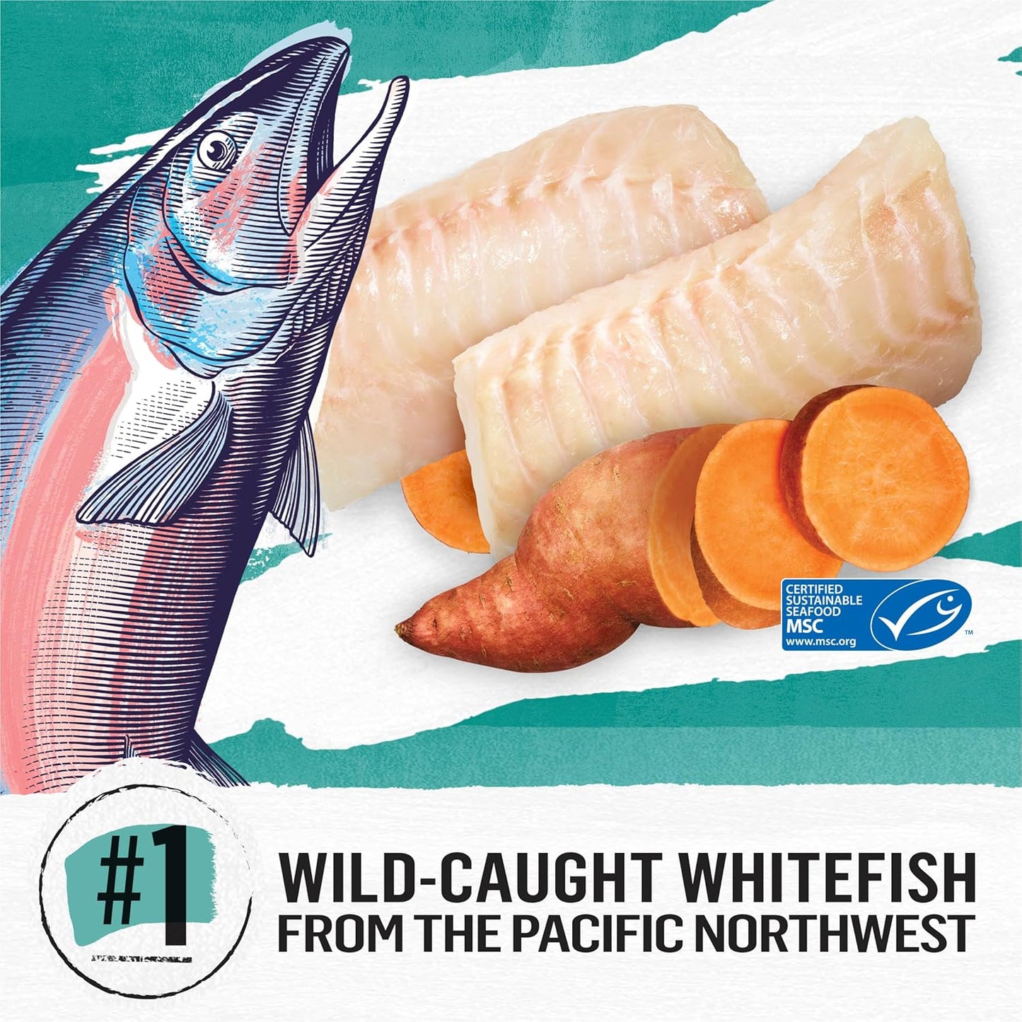 Purina Beyond Grain Free, Natural Dry Cat Food, Simply Grain Free Wild Caught Whitefish & Cage Free Egg Recipe - 5 lb. Bag