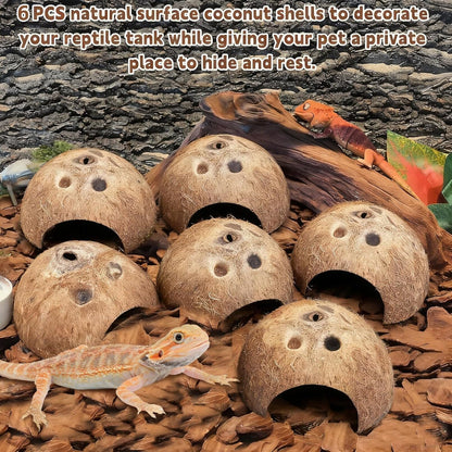 PINVNBY Natural Coconut Reptile Hideouts Lizard, Coco Hut Hermit Crab Hut Aquarium Fish Hide Cave for Small Reptile Crested Gecko Leopard Gecko Spider Snail Climber Toys (6 PCS Natural Surface)
