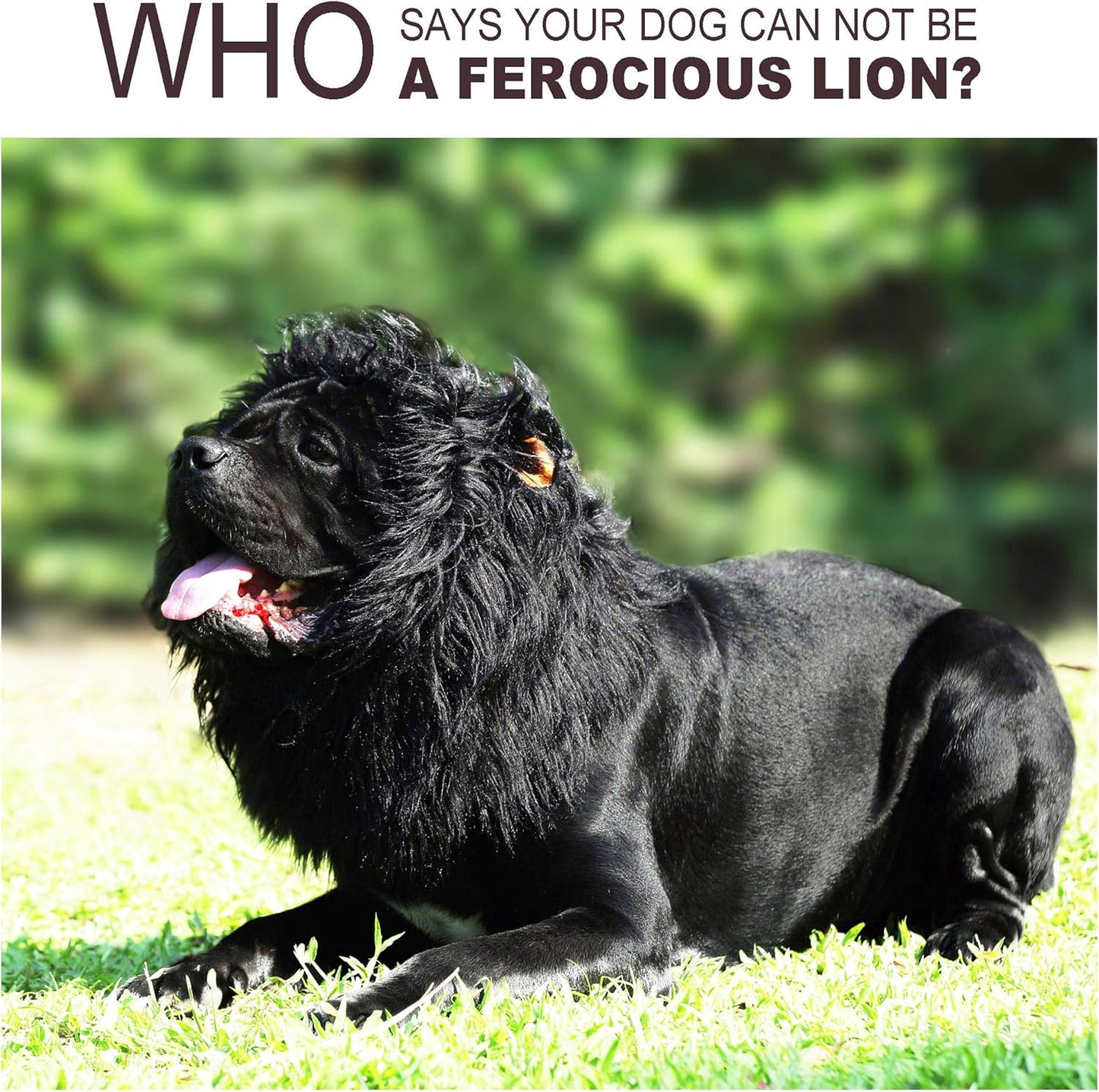 Onmygogo Lion Mane Wig for Dogs with Ears, Funny Pet Costumes for Halloween Christmas