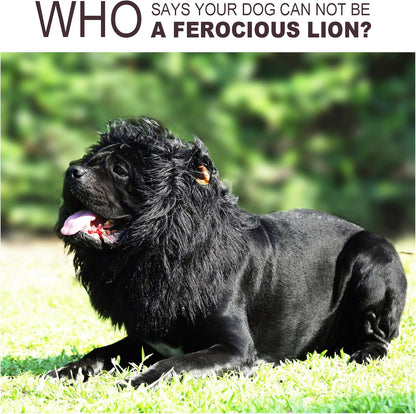 Onmygogo Lion Mane Wig for Dogs with Ears, Funny Pet Costumes for Halloween Christmas