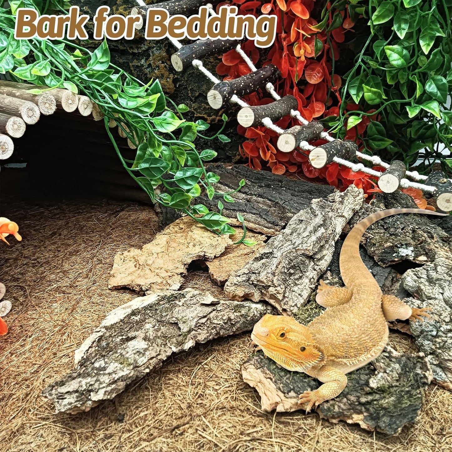 BNOSDM Reptile Cork Bark Substrate 32oz Lizard Bedding for Habitat Natural Flat Cork Wood Bulk Terrarium Reusable Bark Pieces for Chameleon, Ball Python, Crested Gecko, Spider, Tortoise, Tree Frog