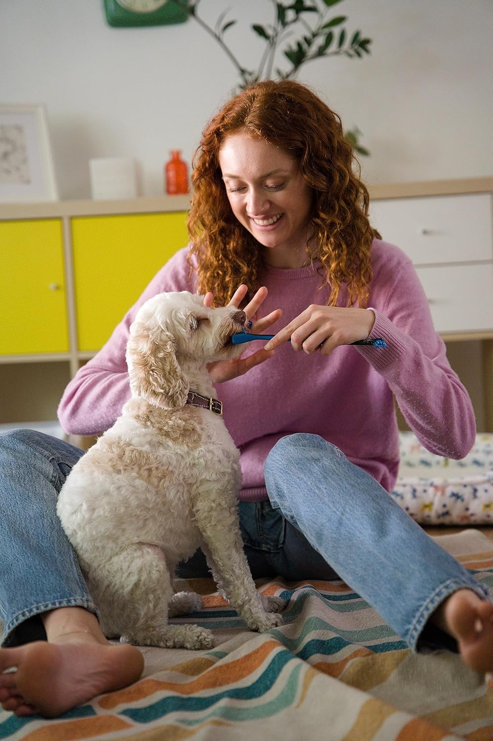 Paw Ready Pet Toothbrushing Assistant for Puppies' Dogs and Cats Allows You to Brush Your pet’s Teeth Without Constantly Worrying About Getting Bitten. (Blue, Small)
