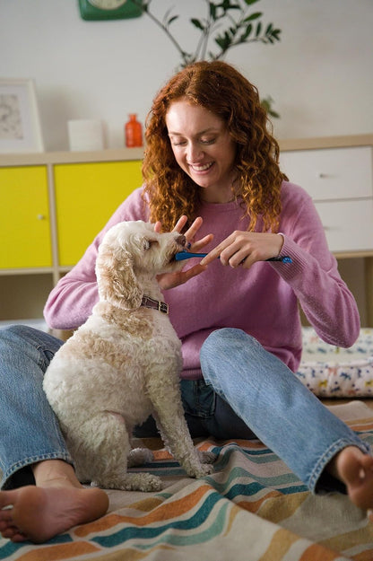 Paw Ready Pet Toothbrushing Assistant for Puppies' Dogs and Cats Allows You to Brush Your pet’s Teeth Without Constantly Worrying About Getting Bitten. (Blue, Small)