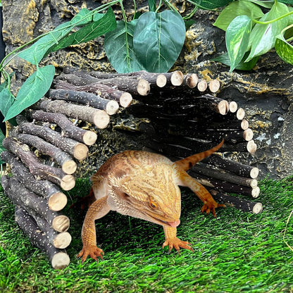 Hamiledyi Reptile Hideouts Natural Coconut Shells Hut Hermit Crab Climbing Toys and 3pcs Large Reptile Hides Bearded Dragon Hide Bendable Climbing Bridge for Snake Turtle Gecko Chameleon