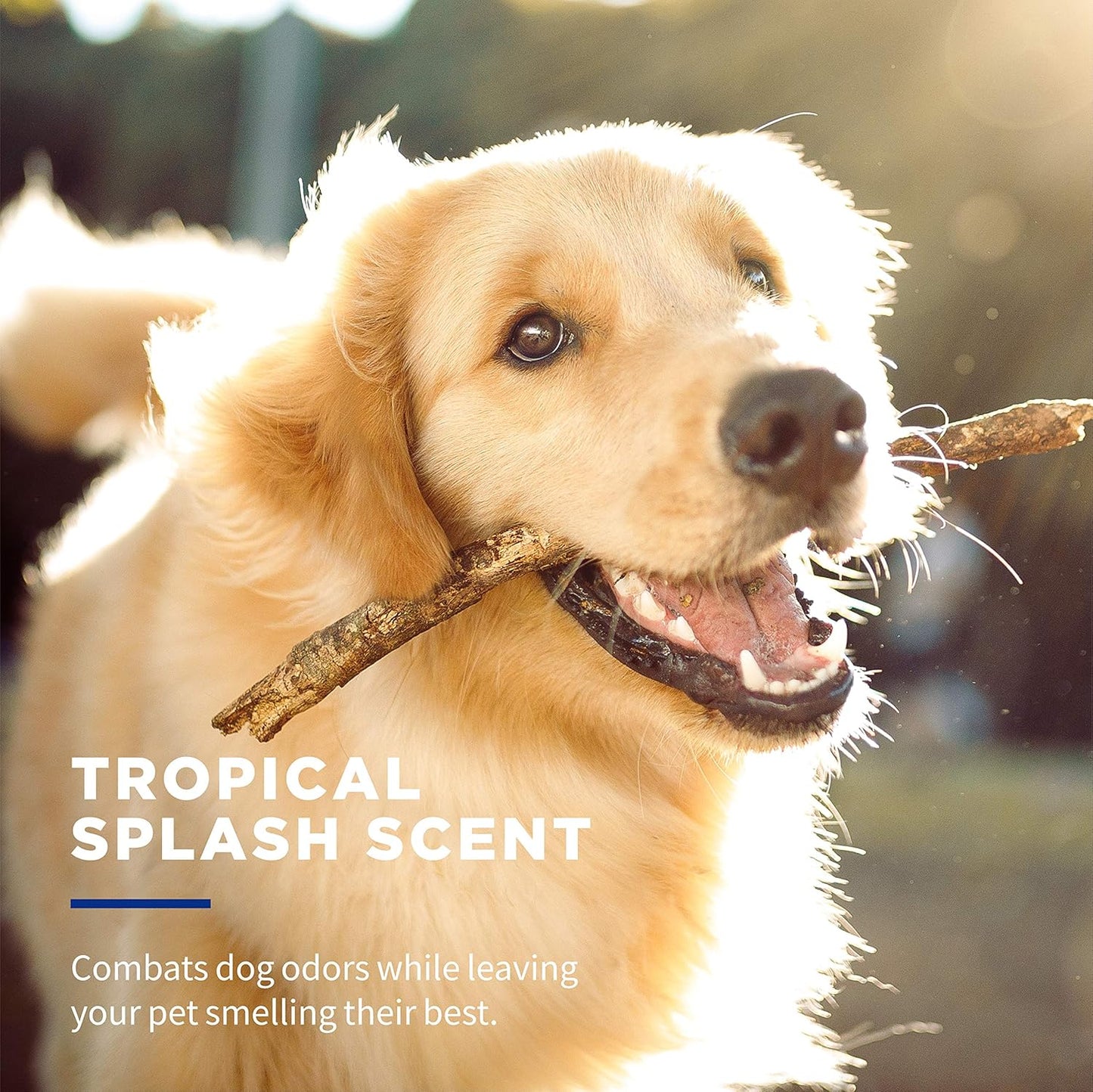 Wet Ones for Pets Deodorizing Multipurpose Dog Wipes with Baking Soda, Tropical Splash Scent - Desmellizing Wipes for Dogs in Canister, 50 Count