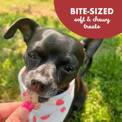 Buddy Biscuit Softies 5 oz Pouch, Grain-Free Soft & Chewy, Natural Grilled Beef Flavor Dog Treats, Oven Baked in the USA