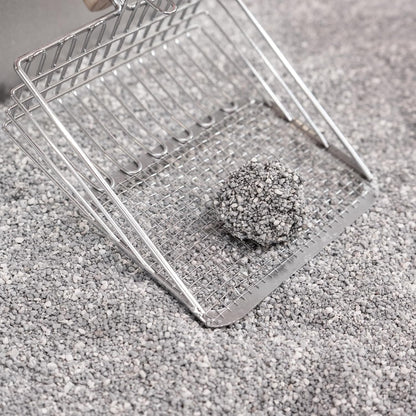 CLR2000B-SET3 Unscented Premium Clumping Bentonite Clay Cat Litter w/Activated Charcoal, Natural Odor Control, 99% Dust-Free, 9.37 LBS (Set of 3)