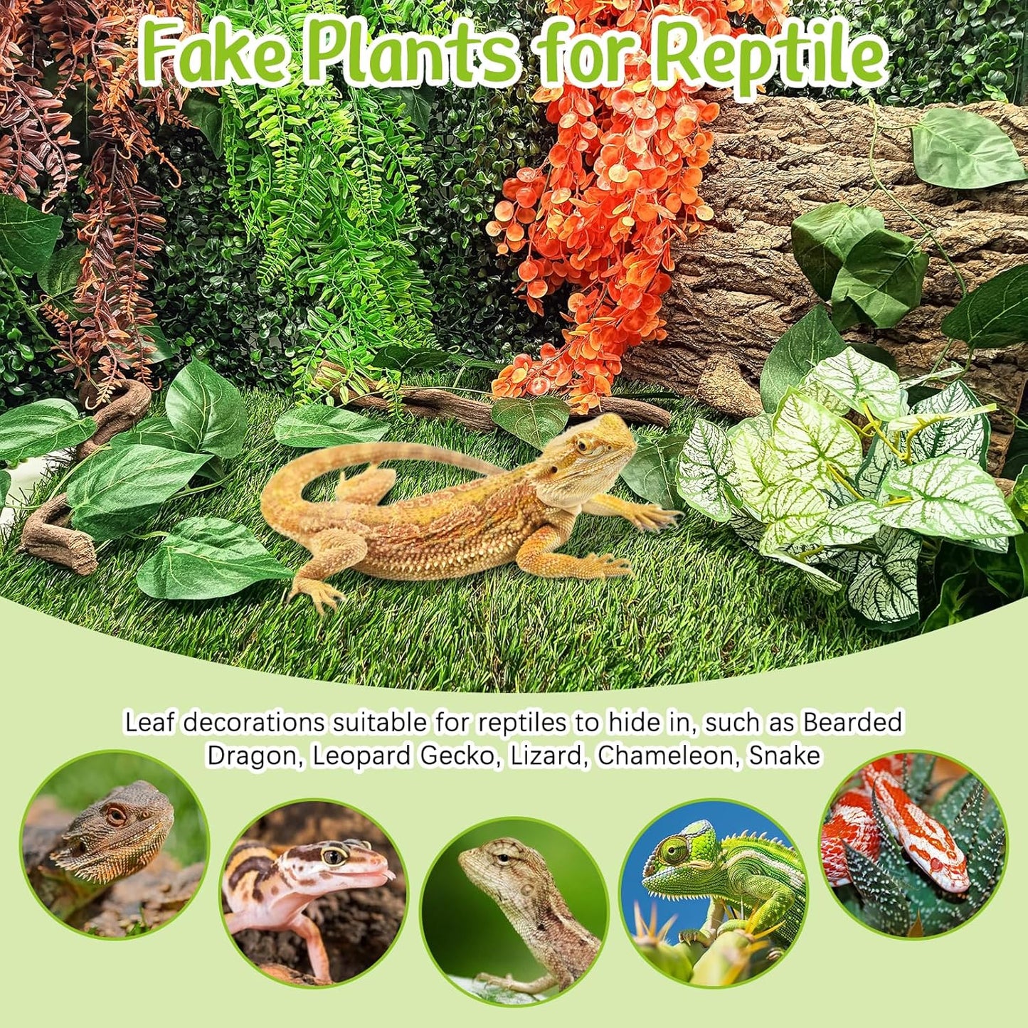 Hamiledyi 2PCS Reptile Feeding Box Snake Breeding Box Transparent Cage and Tank Habitat Decorations 2 PCS Terrarium Hanging Plants with Suction Cups for Lizard, Snake, Bearded Dragon, Leopard Gecko, C