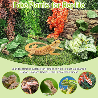 Hamiledyi 2PCS Reptile Feeding Box Snake Breeding Box Transparent Cage and Tank Habitat Decorations 2 PCS Terrarium Hanging Plants with Suction Cups for Lizard, Snake, Bearded Dragon, Leopard Gecko, C