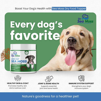 The Sea Moss Low-Fat Dog Supplement Powder, Dry Food Topper - Multivitamin Supports Skin, Coat, Joints, Digestion & Immune Health - Vitamins & Minerals – All Breeds & Sizes - 125 Grams