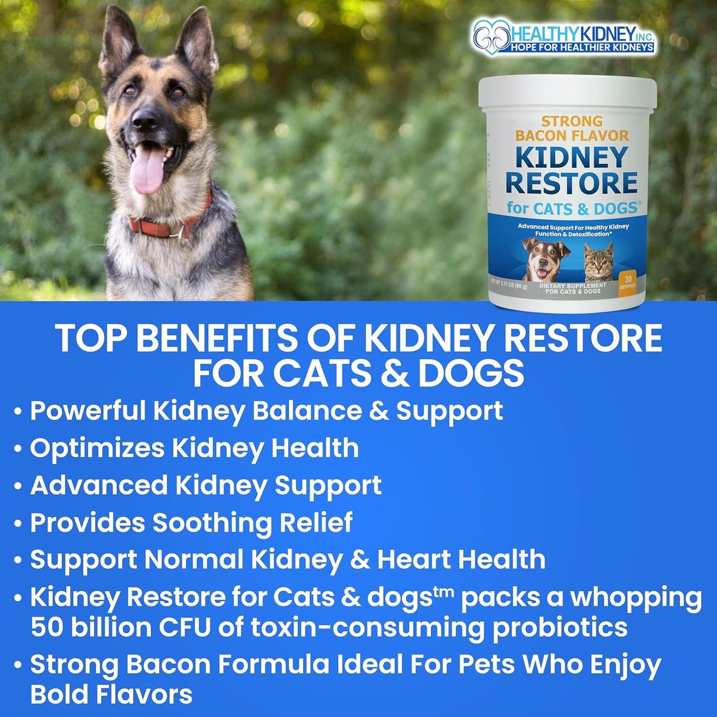 Cat and Dog Kidney Support, Natural Renal Supplements to Support Pets, Feline, Canine Healthy Kidney Function and Urinary Tract. Essential for Pet Health, Pet Alive, Easy to Add to Cats and Dogs Food