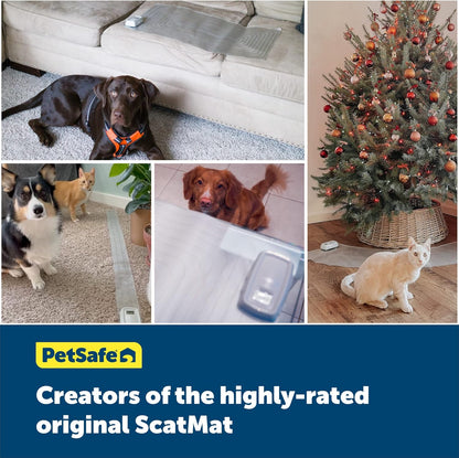 PetSafe ScatMat Indoor Training Mat