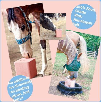 Himalayan Secrets Compressed Pink Salt Lick for Livestock and Wildlife Animals, Pure & Natural Feed Salt Block, Minerals & Trace Elements, No Additives, 11LB (5KG)