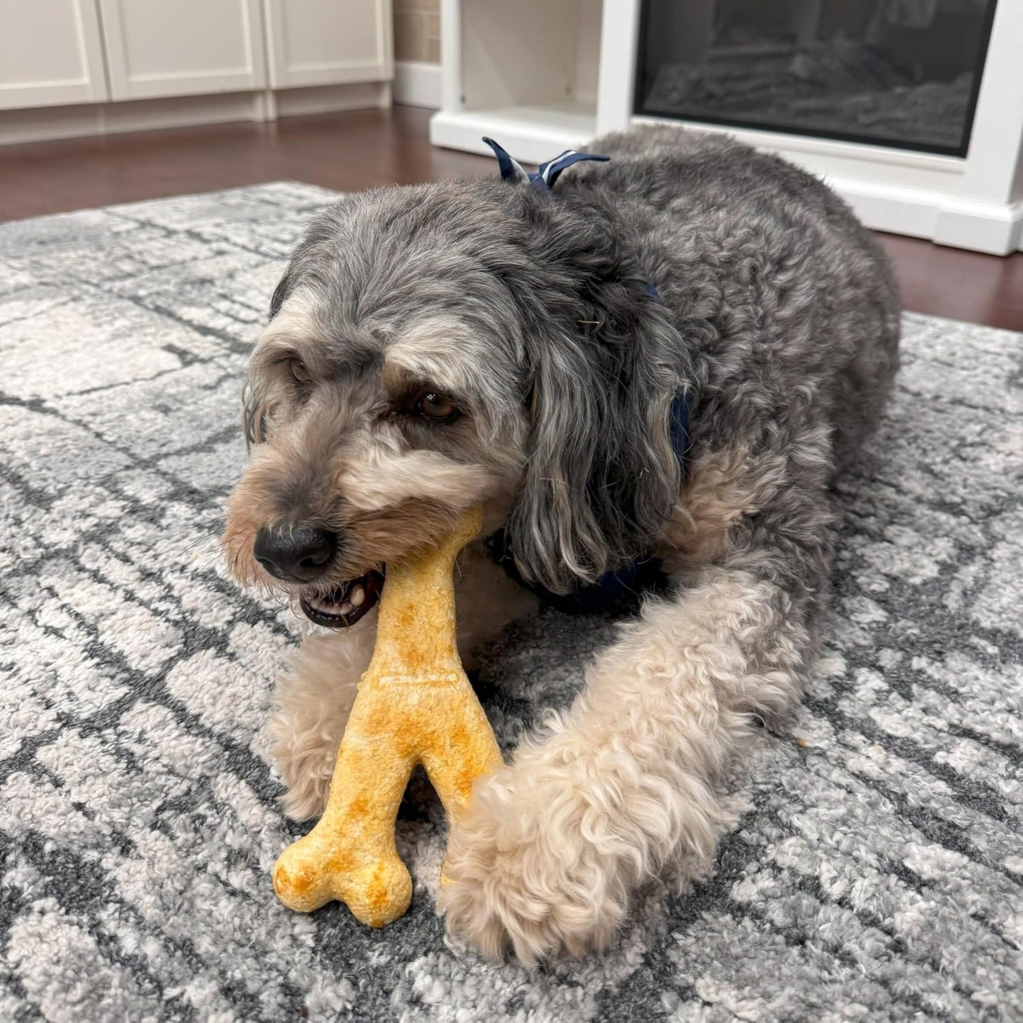 Fieldcrest Farms Nothin' to Hide Collagen-Based Dog Chews, Wishbone, Chicken Flavor, Ultra-Premium, for Dogs Over 50lbs, Easily Digestible, Supports Skin, Coat, Joints & Muscles, 7-Inch, 2 Pieces