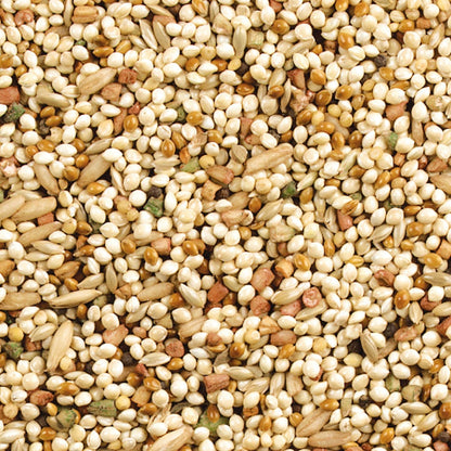 Wild Harvest Daily Blend Nutrition Diet For Parakeet, Canary And Finch 10 Pounds