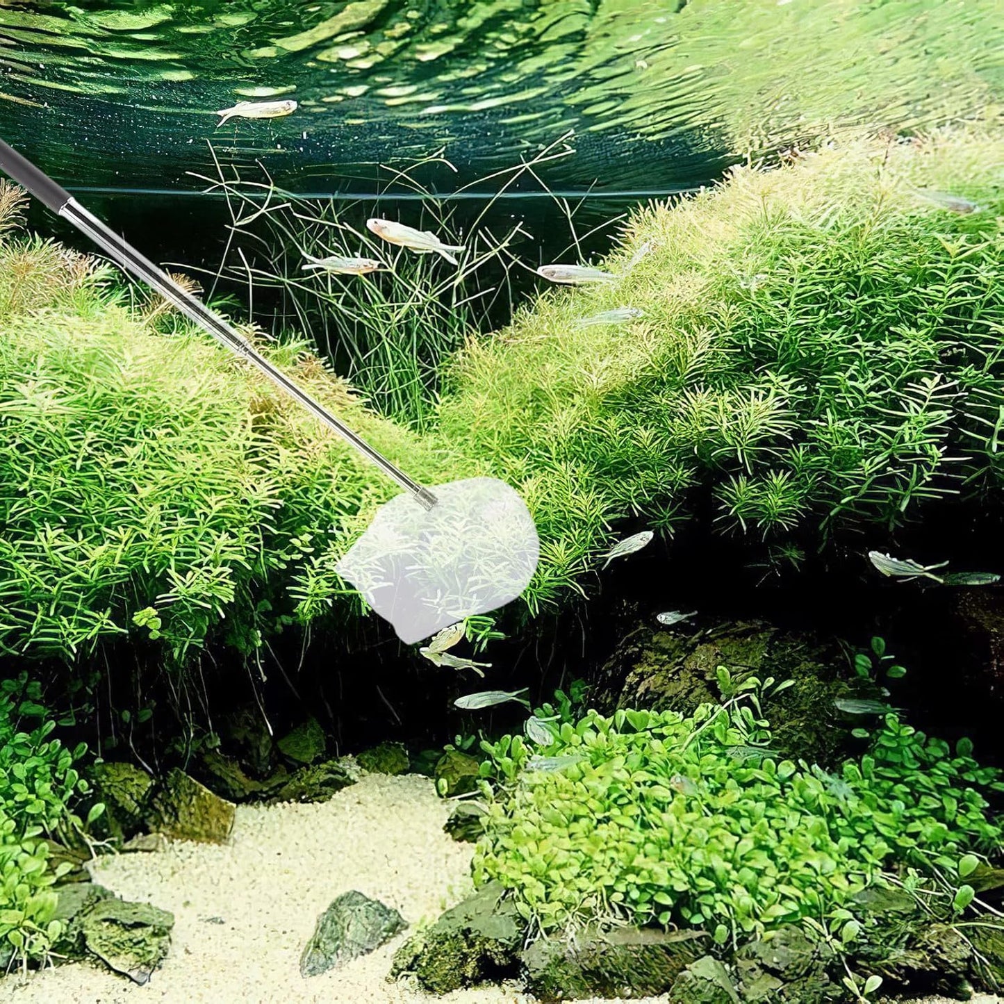 Kisangel Small Aquarium Shrimp Net Retractable Fine Mesh Fish Tank Net 3D Round for Pond and Creek Fishing