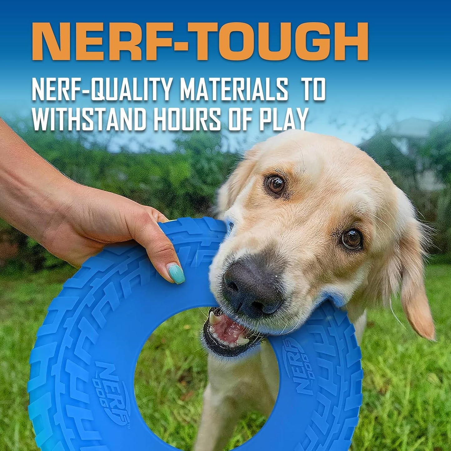 Nerf Dog Tire Flyer Outdoor Dog Toy, 10 Inch Flying Disc Dog Fetch Toy, Rubber Dog Toy for Medium Dogs and Large Dogs, Blue (Pack of 2)